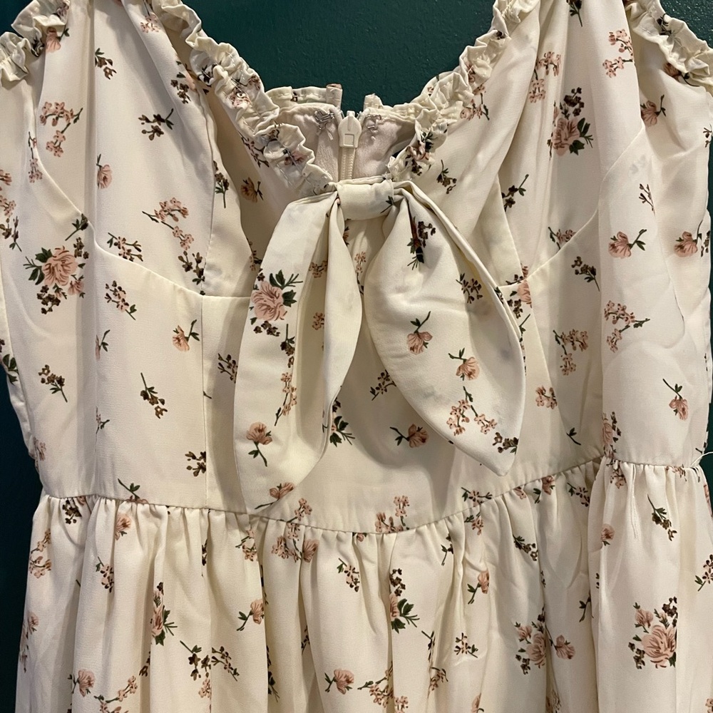 New With Tags Lulus Romantic Muse Cream Floral Print Tie-Front Mini Dress - Picture 3 of 5